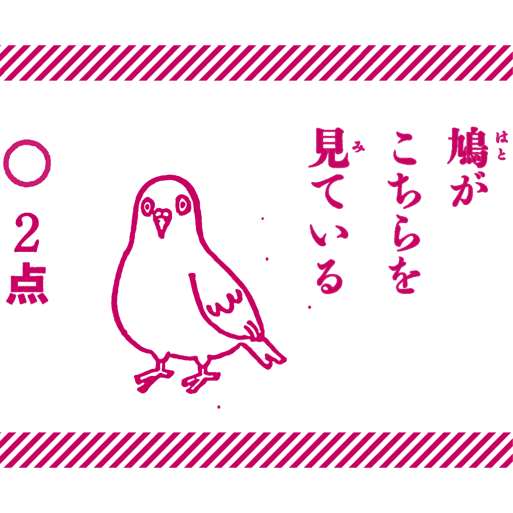 鳩がこちらを見ている